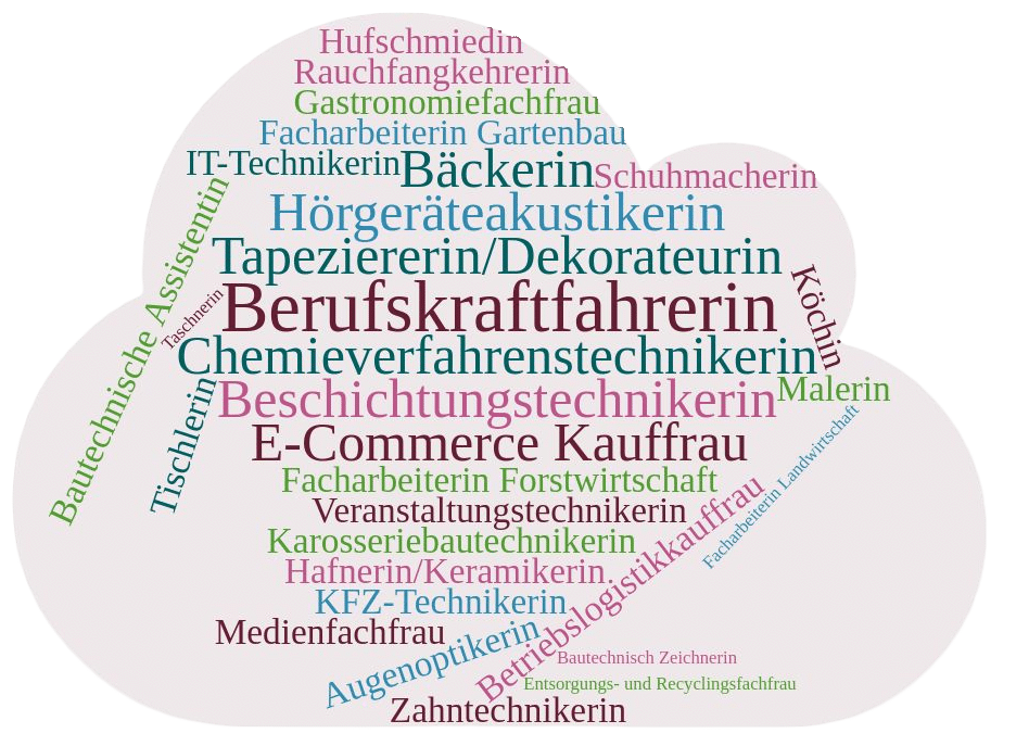 Berufswolke | PQu - Punktgenaue Qualifizierung | Frauenberatung Waldviertel